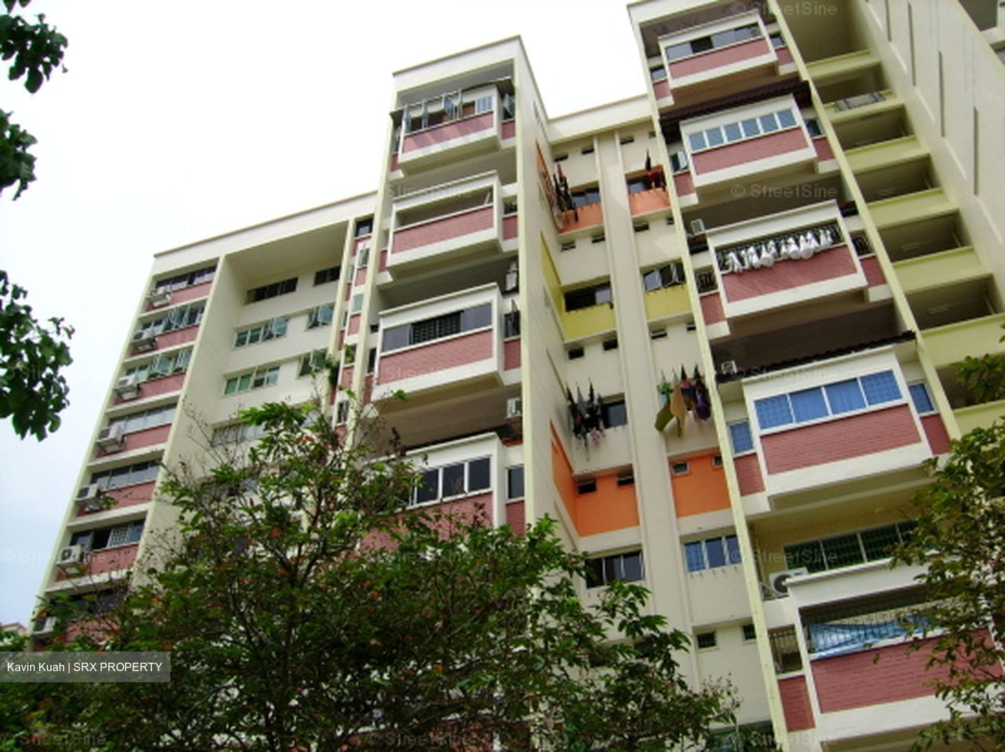 Blk 427 Sun Plaza View (Tampines), HDB Executive #599106191